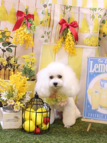 20240417ゆわちゃん